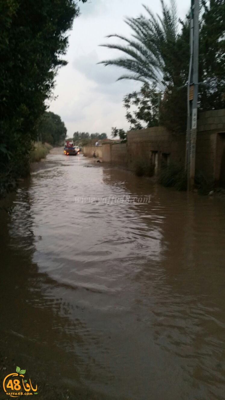 rain in dahmashsh (8).jpg